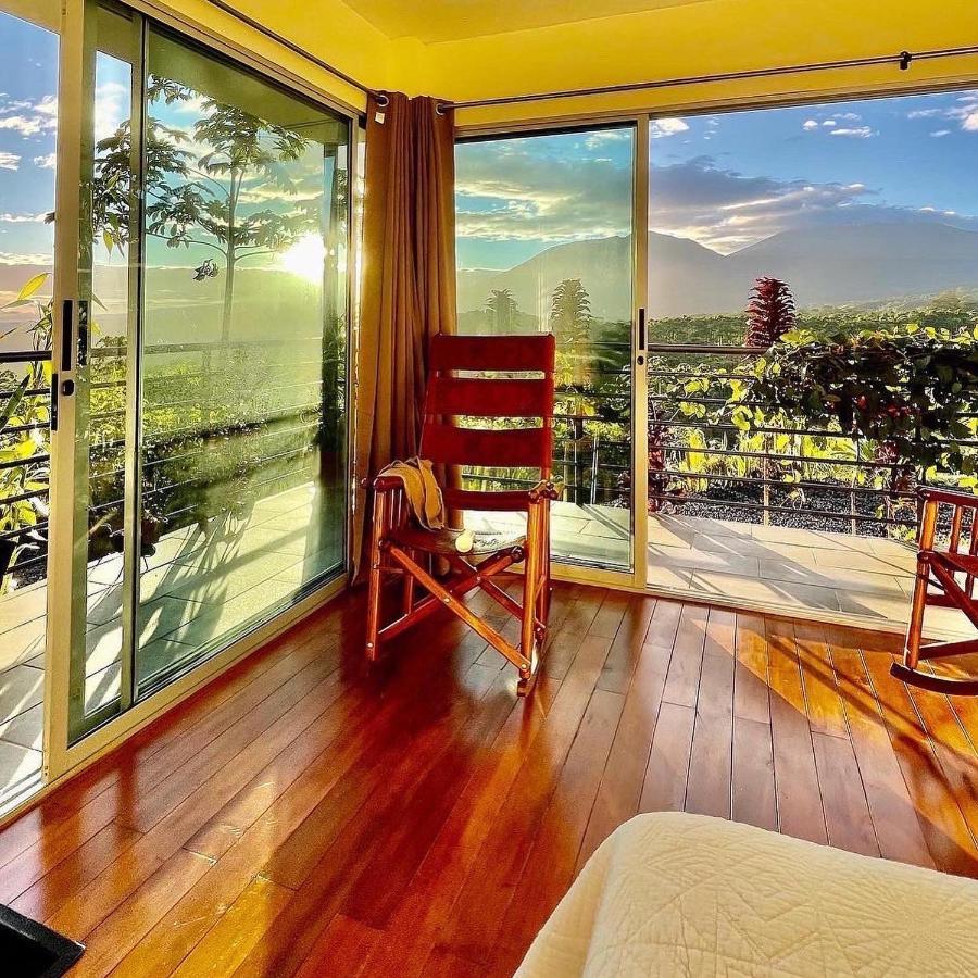 Hotel Finca 360 Marsella Dış mekan fotoğraf